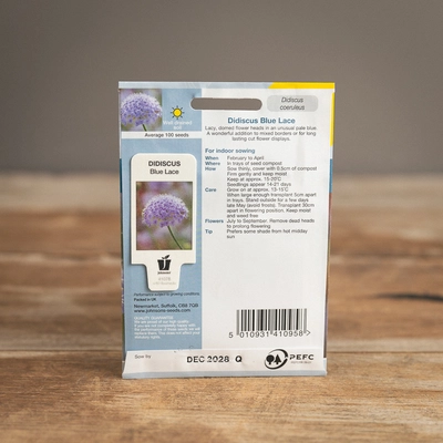 Didiscus Blue Lace - image 2