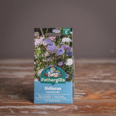 Didiscus Coeruleus Mix - image 1