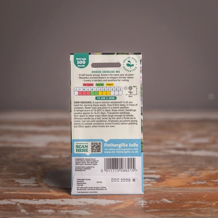 Didiscus Coeruleus Mix - image 2