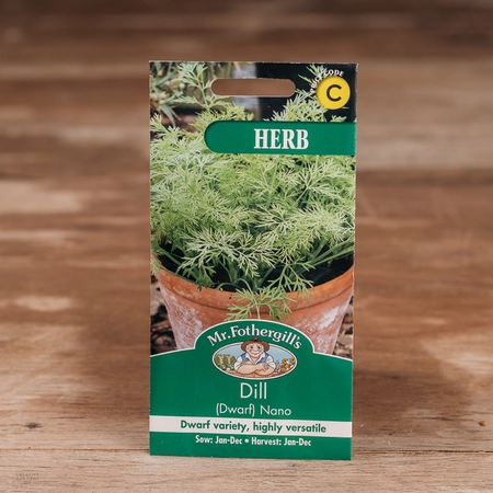 Dill (Dwarf) Nano - image 1