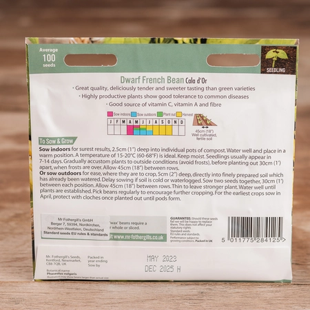 Dwarf French Bean Cala D'Or - image 2