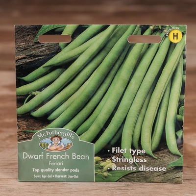 Dwarf French Bean Ferrari - image 1
