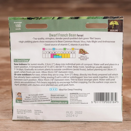 Dwarf French Bean Ferrari - image 2