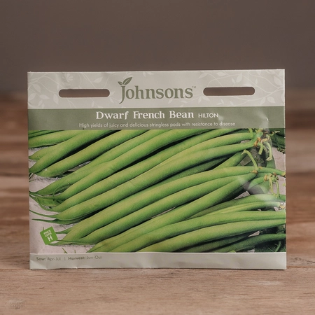 Dwarf French Bean Hilton - image 1