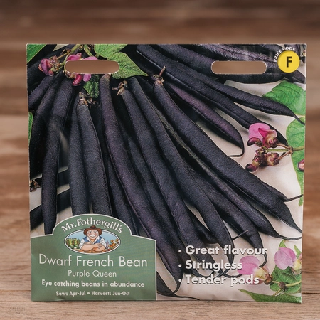 Dwarf French Bean Purple Queen - image 1
