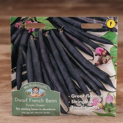 Dwarf French Bean Purple Queen - image 1