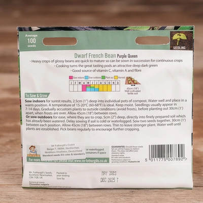 Dwarf French Bean Purple Queen - image 2