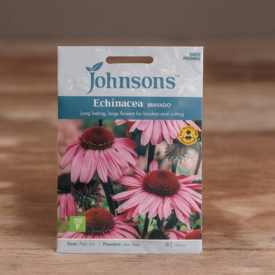 Echinacea Bravado - image 1