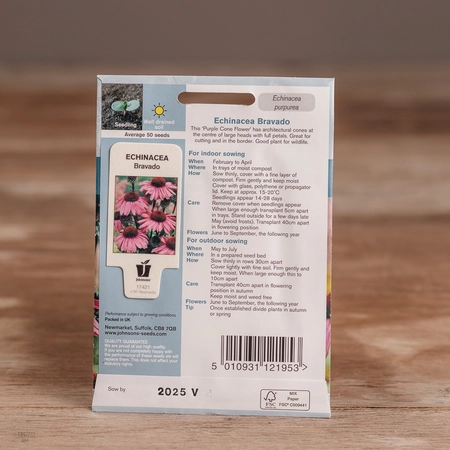 Echinacea Bravado - image 2