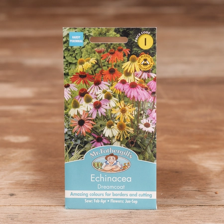 Echinacea Dreamcoat - image 1
