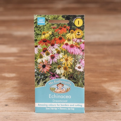 Echinacea Dreamcoat - image 1