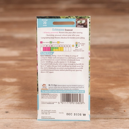 Echinacea Dreamcoat - image 2