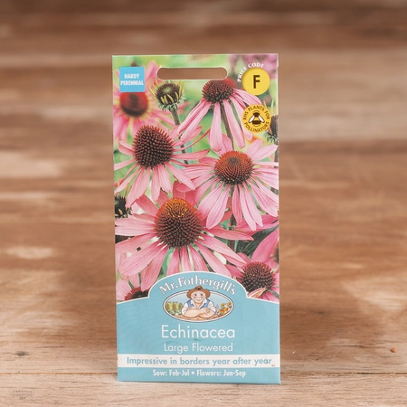 Echinacea Large Flowered - image 1