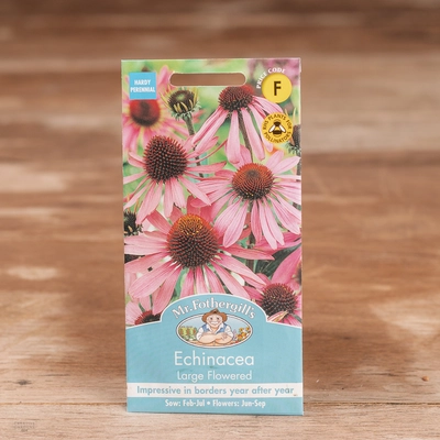 Echinacea Large Flowered