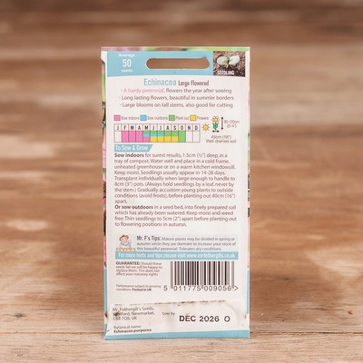 Echinacea Large Flowered - image 2