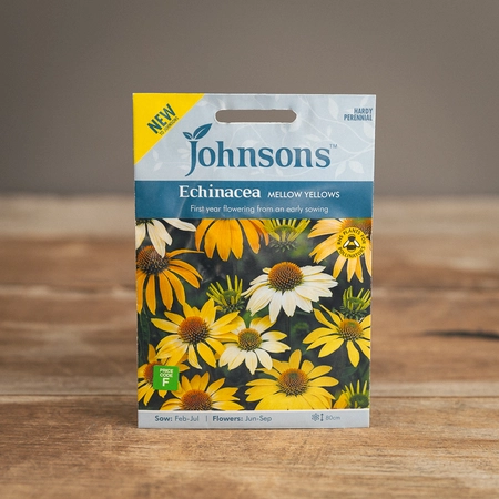 Echinacea Mellow Yellows - image 1