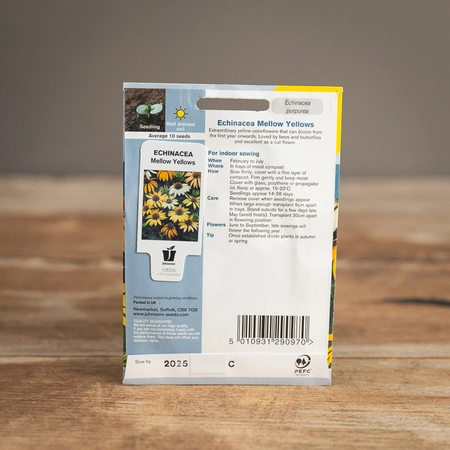 Echinacea Mellow Yellows - image 2