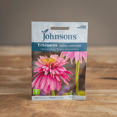 Echinacea Paradiso Super-Duper - image 1