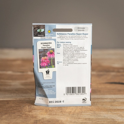 Echinacea Paradiso Super-Duper - image 2
