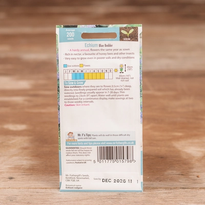 Echium Blue Bedder - image 2