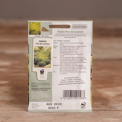 Endive Fine De Louviers - image 2