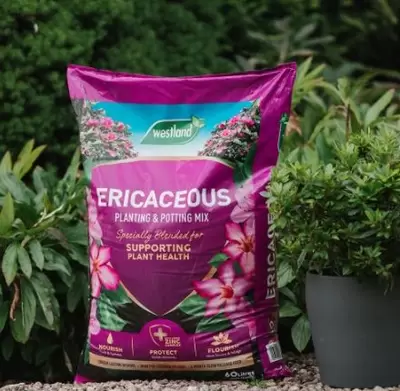 Ericaceous Planting & Potting Mix - image 2