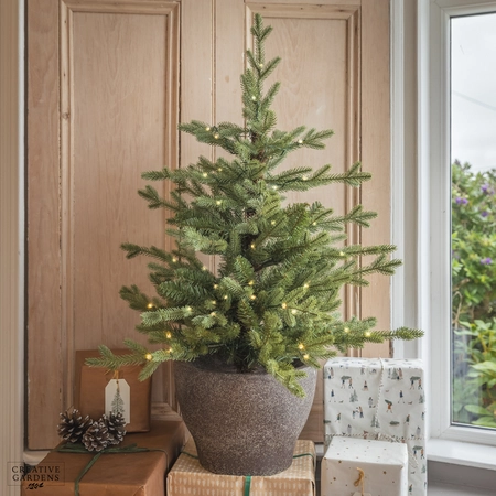 Everlands 3ft Pre-Lit Norway Potted Christmas Tree 60 LED - image 1