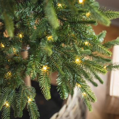 Everlands 7ft Pre-Lit Slim Alpbach Christmas Tree 220 LED - image 3