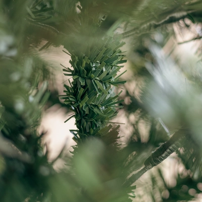 Everlands 8ft Freiburg Pine Christmas Tree - image 5