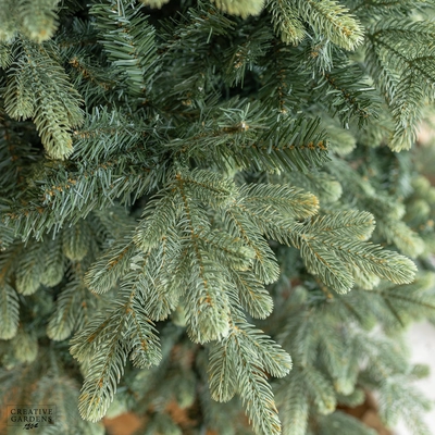 Everlands 8ft Geneva Fir Christmas Tree - image 3