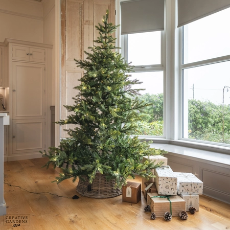 Everlands Grandis Fir 7ft Pre Lit Christmas Tree
