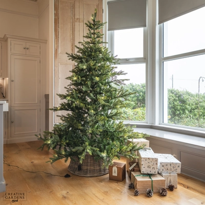 Everlands Grandis Fir 7ft Pre Lit Christmas Tree