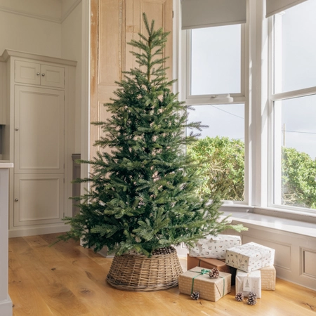Everlands 7ft Grandis Fir Christmas Tree - image 1