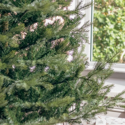 Everlands 7ft Grandis Fir Christmas Tree - image 3