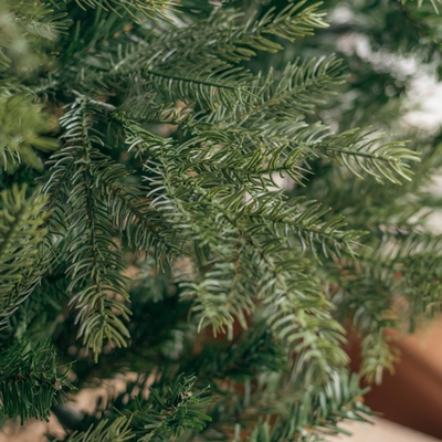 Everlands 7ft Grandis Fir Christmas Tree - image 5