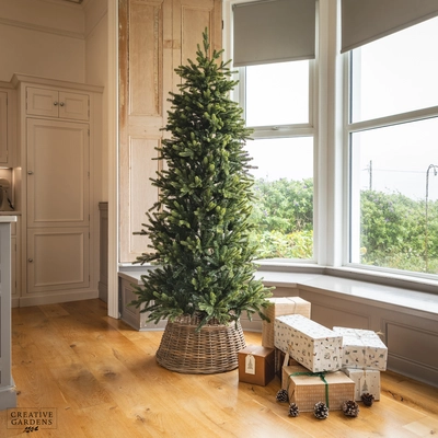 Everlands Greenland Fir 7ft Christmas Tree