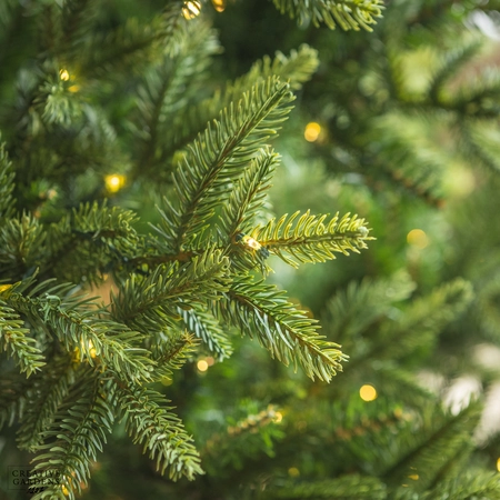 Everlands Nordmann Fir 7ft Pre-Lit Christmas Tree