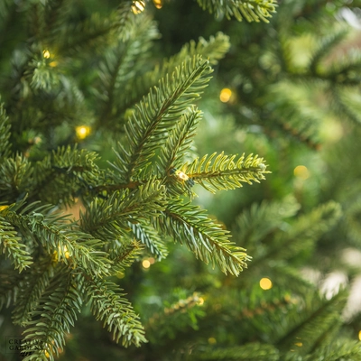 Everlands Nordmann Fir 7ft Pre-Lit Christmas Tree