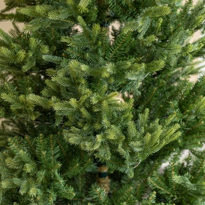 Everlands 8ft Nordmann Fir Christmas Tree - image 4