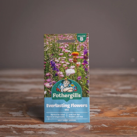Everlasting Flowers Mix - image 1