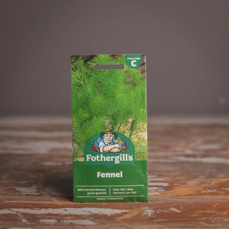Fennel - image 1