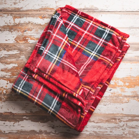 Flannel Check Throw - image 1