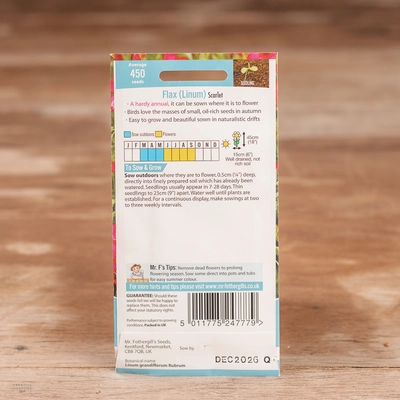 Flax (Linum) Scarlet - image 2