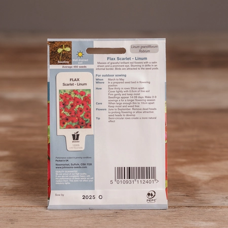 Flax Scarlet - Linum - image 2