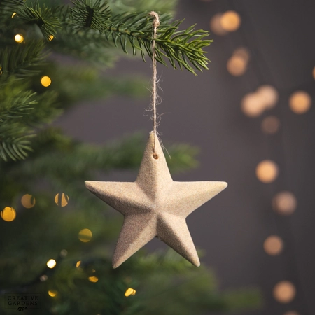 Flocked Ceramic Star 12Cm