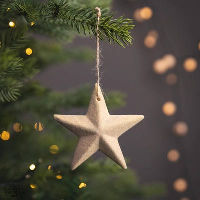 Flocked Ceramic Star 12Cm