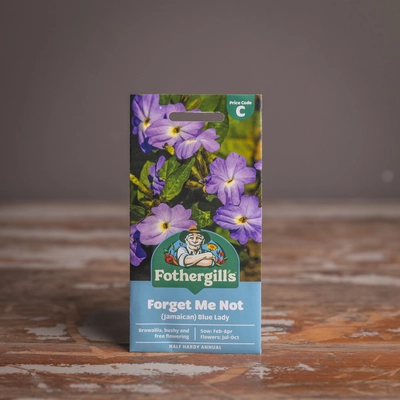 Forget Me Not (Jamaican) Blue Lady - image 1
