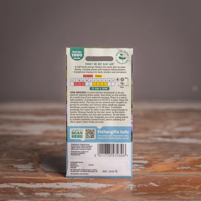 Forget Me Not (Jamaican) Blue Lady - image 2