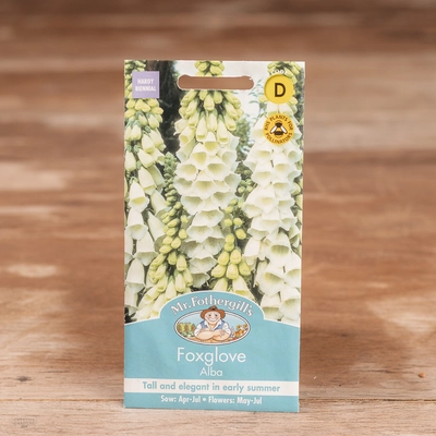Foxglove Alba - image 1