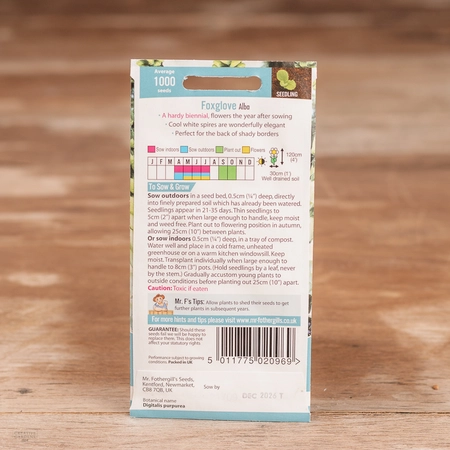 Foxglove Alba - image 2